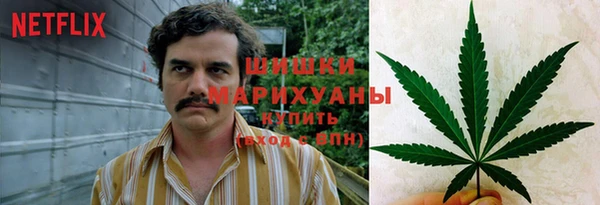 прущие крисы Абаза