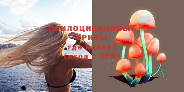 прущие крисы Абаза