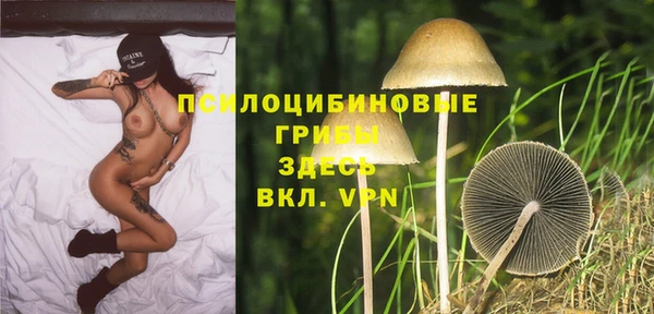 прущие крисы Абаза