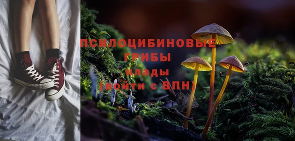 ПСИЛОЦИБИНОВЫЕ ГРИБЫ Абинск